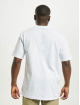 Dickies t-shirt Loretto wit