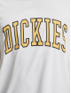 Dickies t-shirt Aitkin wit