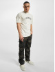Dickies t-shirt West Vale wit