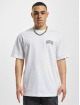 Dickies t-shirt Aitkin Chest wit