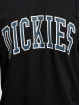 Dickies t-shirt Aitkin zwart