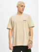 Dickies T-shirts Artondale Box beige