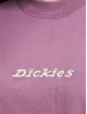 Dickies T-Shirty Loretto fioletowy