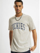 Dickies T-Shirty Aitkin szary