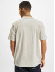 Dickies T-Shirty Aitkin szary