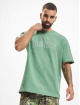 Dickies T-skjorter Union Springs SS grøn