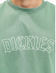 Dickies T-skjorter Union Springs SS grøn