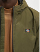 Dickies Transitional Jackets New Sarpy oliven