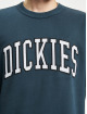Dickies trui Aitkin blauw