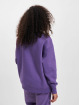 Dickies trui Garden Plains paars