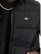 Dickies Veste matelassée Waldenburg noir