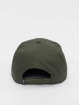 Djinns Snapback Cap 6P TF Asian Tiger Snapback green
