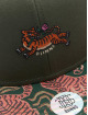 Djinns Snapback Cap 6P TF Asian Tiger Snapback green