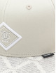 Djinns snapback cap 6 Panel Fendolookalike grijs