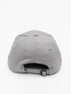 Djinns snapback cap 6 Panel Truefit 2.0 Brushed Twill grijs