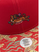 Djinns Snapback Caps 6P TF Asian Tiger punainen