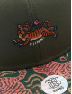 Djinns Snapback Caps 6P TF Asian Tiger Snapback vihreä