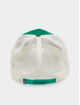 Djinns trucker cap HFT Lazy Sunny Days groen