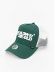 Djinns Trucker Cap HFT LSDO grün