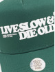 Djinns Trucker Cap HFT LSDO grün
