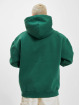 Dropsize Hoody Heavy Oversize Puffer Print groen