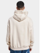 Dropsize Hupparit Logo Design beige
