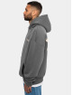 Dropsize Hupparit Heavy Oversize Backprint harmaa