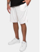 Dropsize Shorts Logo Mesh beige