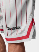 Dropsize shorts Logo Stripe Mesh wit
