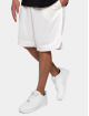 Dropsize Shortsit Logo Mesh beige