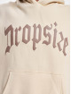 Dropsize Sudadera Heavy Oversize Puffer Print beis