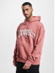 Dropsize Sudadera Heavy Oversize Logo Desig rosa