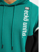 Ecko Unltd. Bluzy z kapturem Richard zielony