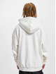 Ecko Unltd. Hoody SPRAY beige