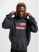 Ecko Unltd. Hoody FLAG grijs