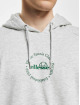 Ellesse Hoody Giarandini grau
