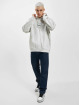 Ellesse Hoody Giarandini grau