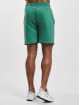 Ellesse Pantalón cortos Fontansa verde
