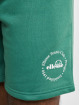 Ellesse Pantalón cortos Fontansa verde