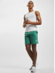 Ellesse Pantalón cortos Fontansa verde