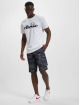 Ellesse Shorts Lavaredo grau