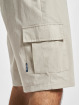 Ellesse Shorts Shecka grå