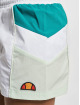 Ellesse Shortsit Stripe valkoinen