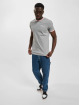 Ellesse T-Shirt Meduno grau