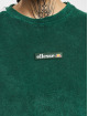 Ellesse t-shirt Piaria groen