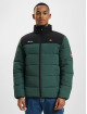 Ellesse winterjas Nebula groen
