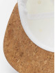 Flexfit Casquette Snapback & Strapback Cork beige