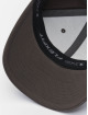Flexfit Casquette Snapback & Strapback 110 Curved Visor gris
