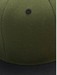 Flexfit Casquette Snapback & Strapback Classic Two Tone olive