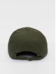 Flexfit Casquette Snapback & Strapback Low Profile Cotton Twill olive